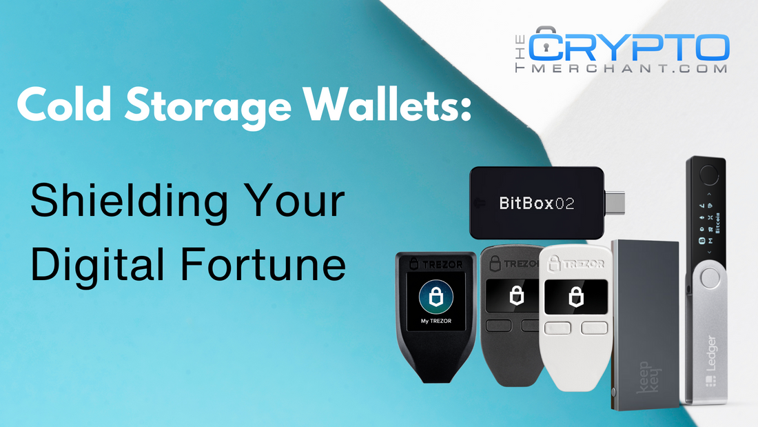 cold storage wallet