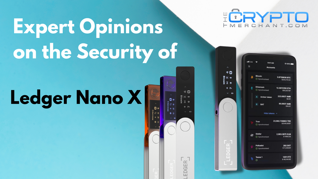 Expert Opinions on the Security of Ledger Nano X